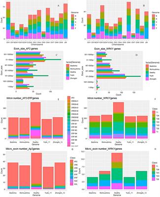 Gene fusions, micro-exons and splice variants define stress signaling by AP2/ERF and WRKY transcription factors in the sesame pan-genome